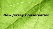 New Jersey Conservation