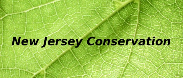 New Jersey Conservation