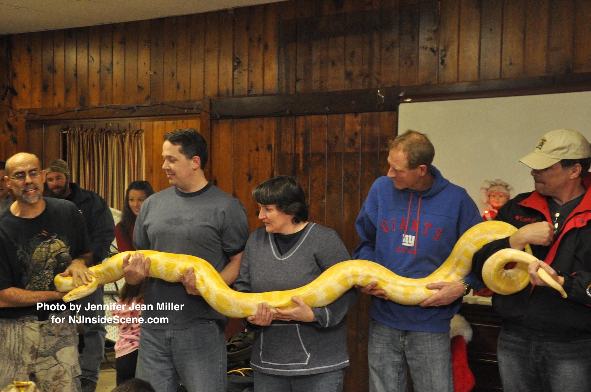 Brave parents help to hold up a python, during the Rizzo's Reptile Show.