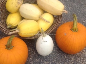 Pumpkins and an array of squash comprise some of the items for purchase at the Blairstown Farmers' Market. Photo by Jennifer Jean Miller.