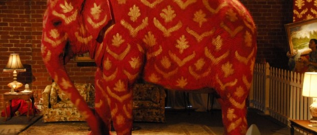 Elephant in the Room image, courtesy of Creative Commons.