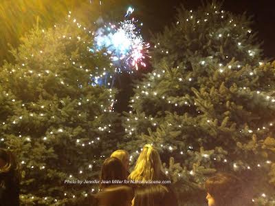 Spectators watching the fireworks display through the trees. Photo by Jennifer Jean Miller.