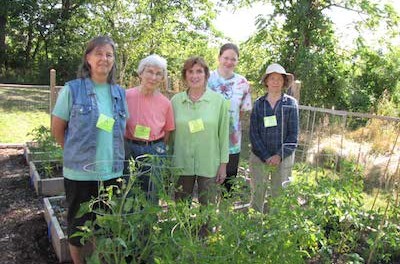 Volunteers maintain the community gardens at Project Self-Sufficiency. Image courtesy of Project Self-Sufficiency.