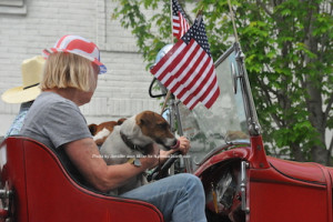 Pooches enjoy riding in vintage autos. Photo by Jennifer Jean Miller.