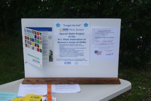 NAMI Display. Image courtesy of the Hopatcong Women's Club.