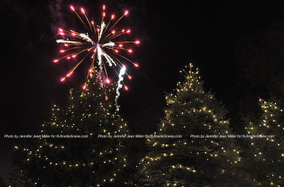 Fireworks burst over the newly illuminated trees. Photo by Jennifer Jean Miller.