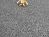 A "Pokémon Go!" fair use screenshot image.